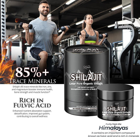 Shilajit pure Himalayen pot de 30g